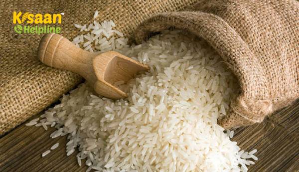 भारत के बासमती चावल निर्यातक ऑस्ट्रेलिया, कनाडा और अमेरिका के आयातकों के साथ फिर से बातचीत कर रहे हैं